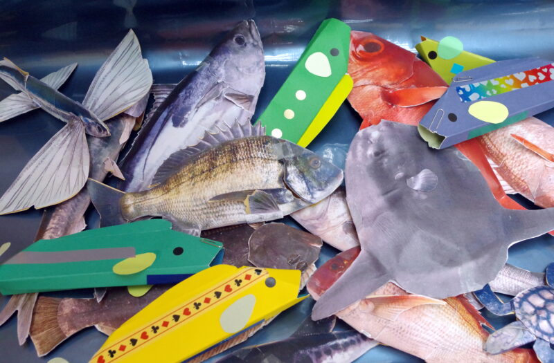 大漁！魚つりで遊ぼう