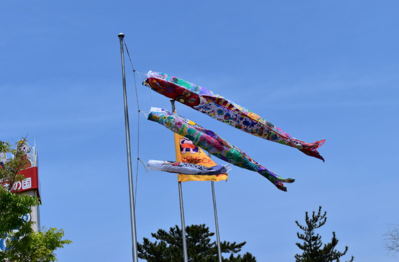 鯉のぼりに絵をかこう