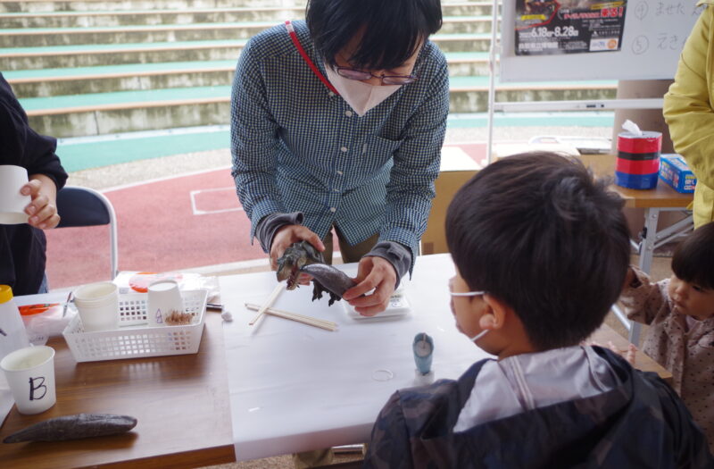 出張！鳥取県立博物館～化石に関するワークショップ～