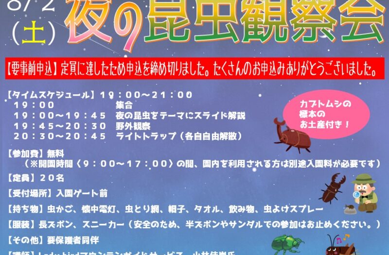 【受付終了】夜の昆虫観察会