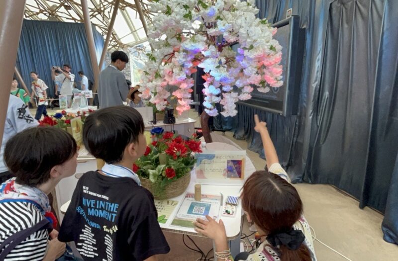 光を使ってピンクダイヤを探そう！