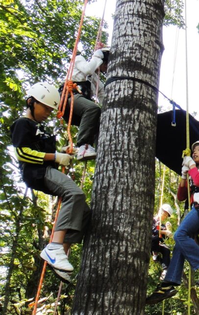 ツリーイングに挑戦！