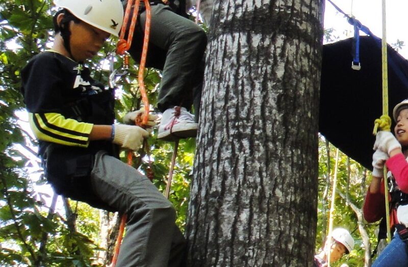 ツリーイングに挑戦！