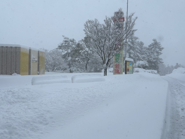 2/８（日）臨時休園します。