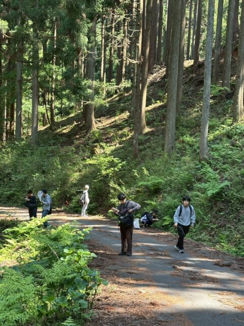 【要予約】夏の生き物観察会