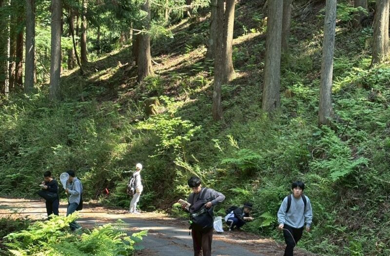 【要予約】夏の生き物観察会