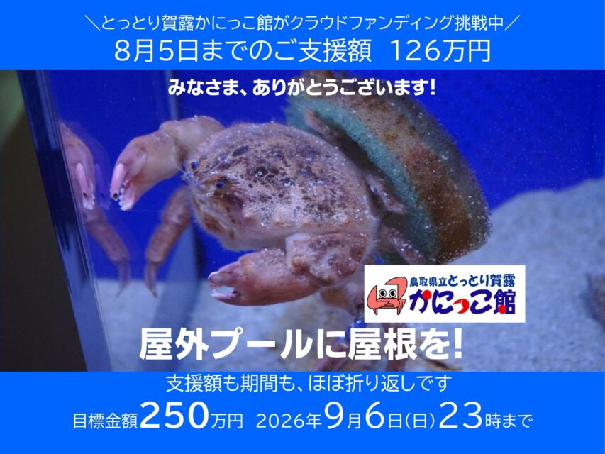 かにっこ館｜人も生き物も安心安全のため、屋外プールの屋根設置費用にご支援を